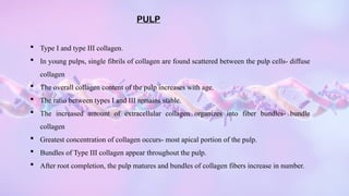Pulp Bundle COLLAGEN.pptx Collagen – Definition, Structure, Types, Functions | PPTX