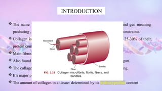COLLAGEN.pptx Collagen – Definition, Structure, Types, Functions | PPTX
