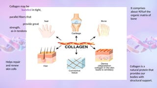 COLLAGEN.pptx Collagen – Definition, Structure, Types, Functions | PPTX