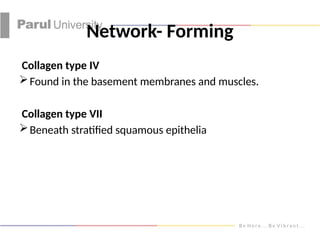 structure of collagen and functions of collagen | PPTX