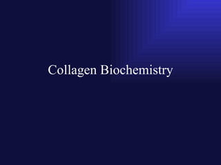 Collagen Biochemistry 
