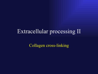 Extracellular processing II Collagen cross-linking 