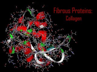 Fibrous Proteins:Fibrous Proteins:
CollagenCollagen
=
 