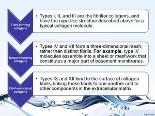 Collagen | PPT