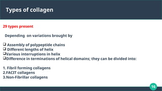 16
Types of collagen
29 types present
Depending on variations brought by
 Assembly of polypeptide chains
 Different lengths of helix
Various interruptions in helix
Difference in terminations of helical domains; they can be divided into:
1. Fibril forming collagens
2.FACIT collagens
3.Non-Fibrillar collagens
 