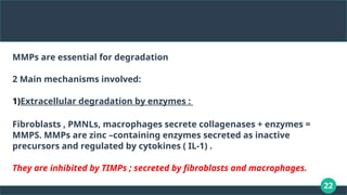22
MMPs are essential for degradation
2 Main mechanisms involved:
1)Extracellular degradation by enzymes :
Fibroblasts , PMNLs, macrophages secrete collagenases + enzymes =
MMPS. MMPs are zinc –containing enzymes secreted as inactive
precursors and regulated by cytokines ( IL-1) .
They are inhibited by TIMPs ; secreted by fibroblasts and macrophages.
 