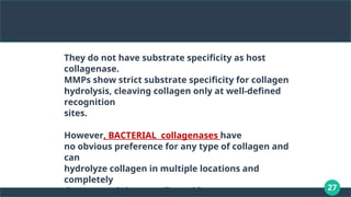 27
They do not have substrate specificity as host
collagenase.
MMPs show strict substrate specificity for collagen
hydrolysis, cleaving collagen only at well-defined
recognition
sites.
However, BACTERIAL collagenases have
no obvious preference for any type of collagen and
can
hydrolyze collagen in multiple locations and
completely
decompose it into small peptides.
 