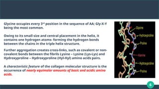 6
Glycine occupies every 3rd
position in the sequence of AA; Gly-X-Y
being the most common.
Owing to its small size and central placement in the helix, it
contains one hydrogen atoms- forming the hydrogen bonds
between the chains in the triple helix structure.
Further aggregation creates cross-links, such as covalent or non-
covalent bonds between the fibrils Lysine – Lysine (Lys-Lys) and
Hydroxyproline – Hydroxyproline (Hyl-Hyl) amino acids pairs.
A characteristic feature of the collagen molecular structure is the
occurrence of nearly equimolar amounts of basic and acidic amino
acids.
 