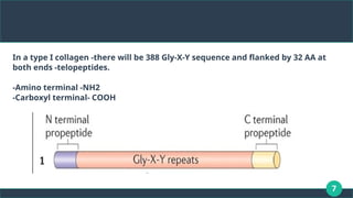 7
In a type I collagen -there will be 388 Gly-X-Y sequence and flanked by 32 AA at
both ends -telopeptides.
-Amino terminal -NH2
-Carboxyl terminal- COOH
 