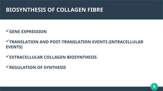 9
BIOSYNTHESIS OF COLLAGEN FIBRE
GENE EXPRESSION
TRANSLATION AND POST-TRANSLATION EVENTS (INTRACELLULAR
EVENTS)
EXTRACELLULAR COLLAGEN BIOSYNTHESIS
REGULATION OF SYNTHESIS
 