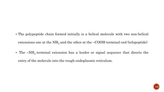  The polypeptide chain formed initially is a helical molecule with two non-helical
extensions one at the NH2 and the other at the –COOH terminal end (telopeptide)
 The –NH2 terminal extension has a leader or signal sequence that directs the
entry of the molecule into the rough endoplasmic reticulum.
13
 