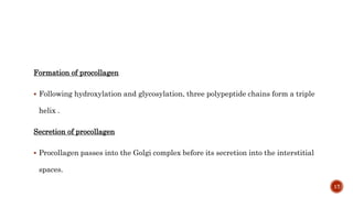 Formation of procollagen
 Following hydroxylation and glycosylation, three polypeptide chains form a triple
helix .
Secretion of procollagen
 Procollagen passes into the Golgi complex before its secretion into the interstitial
spaces.
17
 