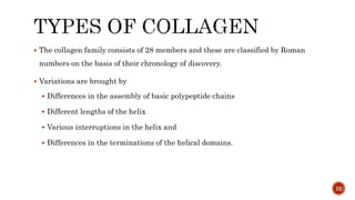  The collagen family consists of 28 members and these are classified by Roman
numbers on the basis of their chronology of discovery.
 Variations are brought by
 Differences in the assembly of basic polypeptide chains
 Different lengths of the helix
 Various interruptions in the helix and
 Differences in the terminations of the helical domains.
22
 
