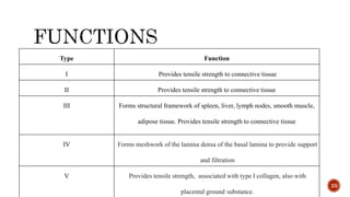 23
Type Function
I Provides tensile strength to connective tissue
II Provides tensile strength to connective tissue
III Forms structural framework of spleen, liver, lymph nodes, smooth muscle,
adipose tissue. Provides tensile strength to connective tissue
IV Forms meshwork of the lamina densa of the basal lamina to provide support
and filtration
V Provides tensile strength, associated with type I collagen, also with
placental ground substance.
 