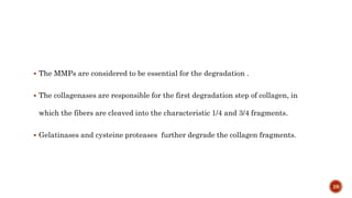  The MMPs are considered to be essential for the degradation .
 The collagenases are responsible for the first degradation step of collagen, in
which the fibers are cleaved into the characteristic 1/4 and 3/4 fragments.
 Gelatinases and cysteine proteases further degrade the collagen fragments.
28
 