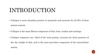  Collagen is most abundant protein in mammals and accounts for 25-30% of their
protein content.
 Collagen is the main fibrous component of skin, bone, tendon and cartilage.
 Collagen comprises one- third of the total protein, accounts for three-quarters of
the dry weight of skin, and is the most prevalent component of the extracellular
matrix.
3
 