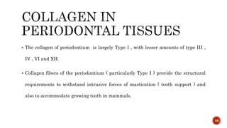  The collagen of periodontium is largely Type I , with lesser amounts of type III ,
IV , VI and XII.
 Collagen fibers of the periodontium ( particularly Type I ) provide the structural
requirements to withstand intrusive forces of mastication ( tooth support ) and
also to accommodate growing tooth in mammals.
38
 