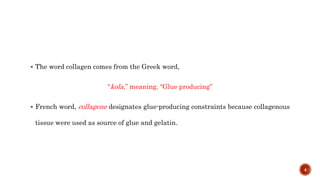  The word collagen comes from the Greek word,
“kola,” meaning, “Glue producing”
 French word, collagene designates glue-producing constraints because collagenous
tissue were used as source of glue and gelatin.
4
 
