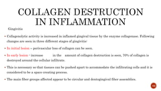 Gingivitis
 Collagenolytic activity is increased in inflamed gingival tissue by the enzyme collagenase. Following
changes are seen in three different stages of gingivitis:
 In initial lesion – perivascular loss of collagen can be seen.
 In early lesion - increase in the amount of collagen destruction is seen, 70% of collagen is
destroyed around the cellular infiltrate.
 This is necessary so that tissues can be pushed apart to accommodate the infiltrating cells and it is
considered to be a space creating process.
 The main fiber groups affected appear to be circular and dentogingival fiber assemblies.
52
 