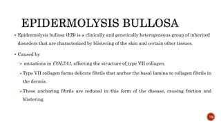 73
 Epidermolysis bullosa (EB) is a clinically and genetically heterogeneous group of inherited
disorders that are characterized by blistering of the skin and certain other tissues.
 Caused by
 mutations in COL7A1, affecting the structure of type VII collagen.
Type VII collagen forms delicate fibrils that anchor the basal lamina to collagen fibrils in
the dermis.
These anchoring fibrils are reduced in this form of the disease, causing friction and
blistering.
 