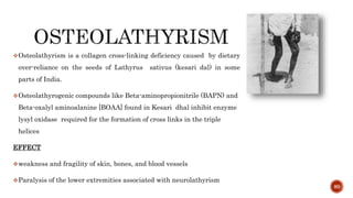 Osteolathyrism is a collagen cross-linking deficiency caused by dietary
over-reliance on the seeds of Lathyrus sativus (kesari dal) in some
parts of India.
Osteolathyrogenic compounds like Beta-aminopropionitrile (BAPN) and
Beta-oxalyl aminoalanine [BOAA] found in Kesari dhal inhibit enzyme
lysyl oxidase required for the formation of cross links in the triple
helices
EFFECT
weakness and fragility of skin, bones, and blood vessels
Paralysis of the lower extremities associated with neurolathyrism
80
 