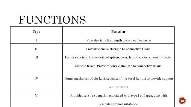 Collagen and collagen disorders