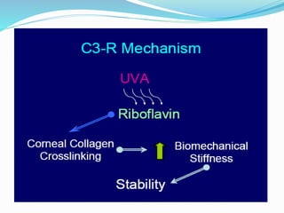 Collagen cross linking ppt.pptx