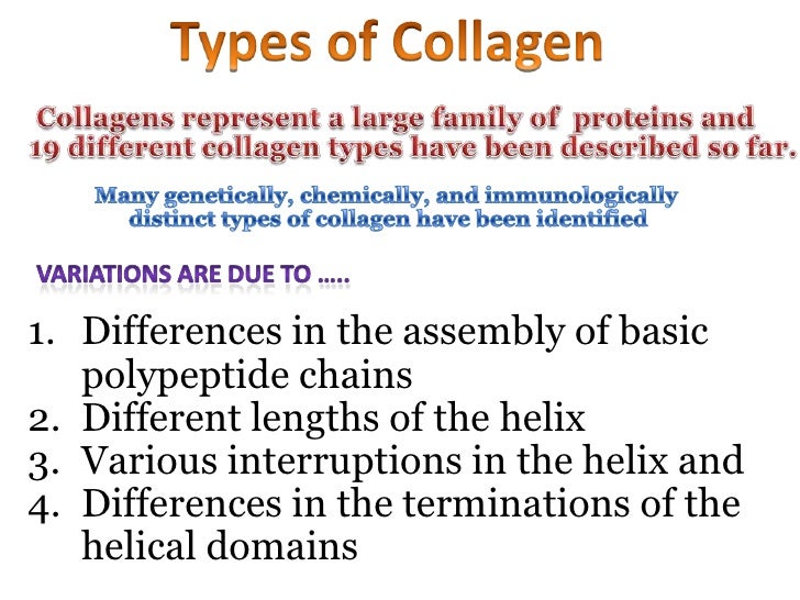 5 Types Of Collagen