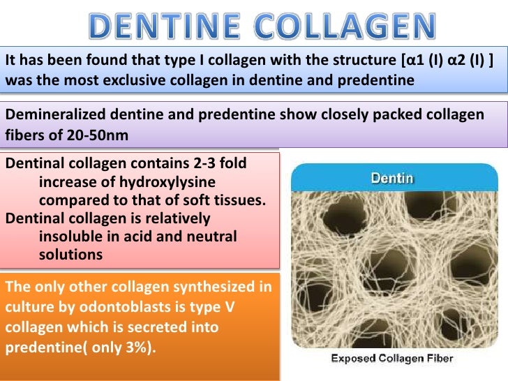 COLLAGEN Structure , Distribution , Synthesis & Regulation