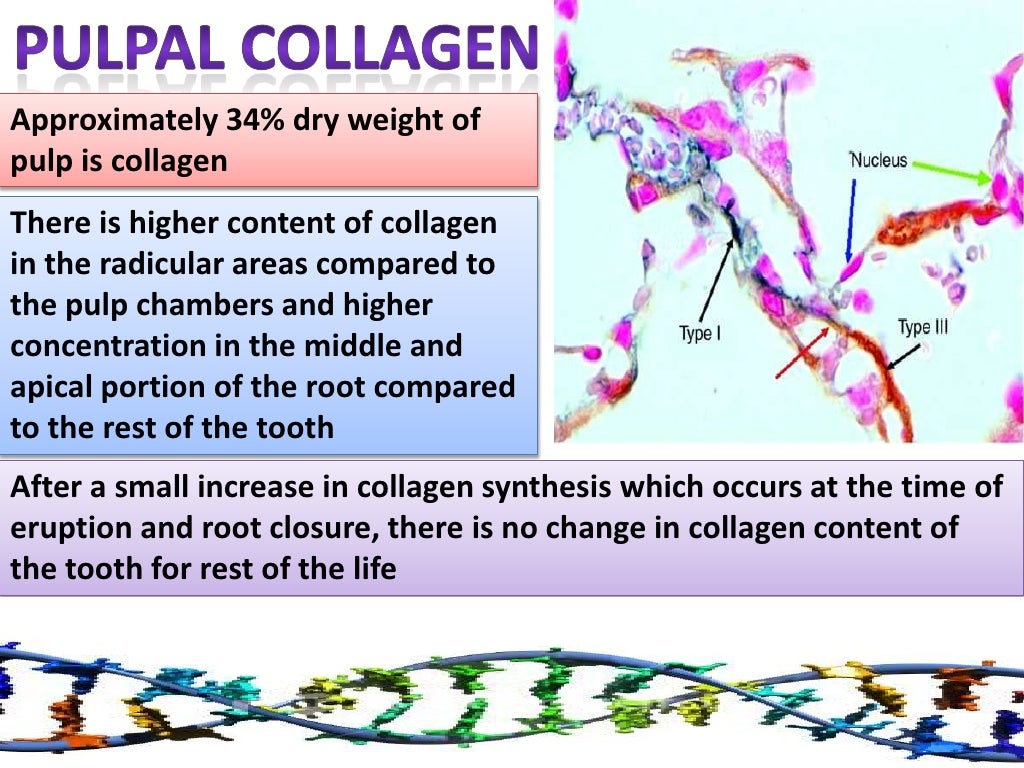 COLLAGEN Structure , Distribution , Synthesis & Regulation