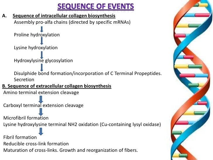 COLLAGEN Structure , Distribution , Synthesis & Regulation
