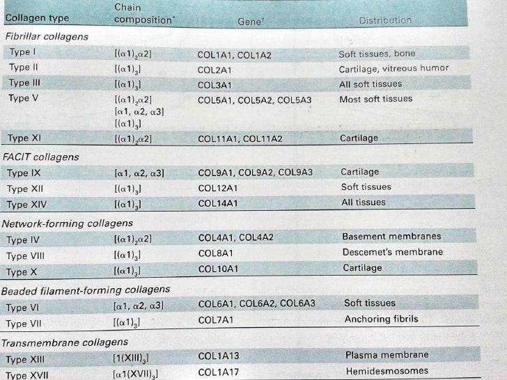 Collagen Types Chart