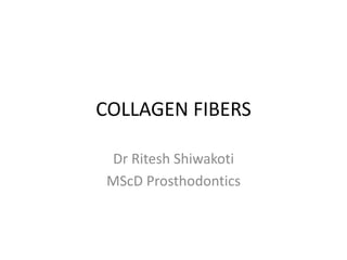 COLLAGEN FIBERS
Dr Ritesh Shiwakoti
MScD Prosthodontics
 