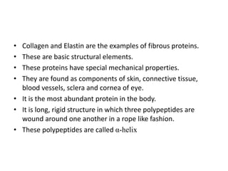 • Collagen and Elastin are the examples of fibrous proteins.
• These are basic structural elements.
• These proteins have special mechanical properties.
• They are found as components of skin, connective tissue,
blood vessels, sclera and cornea of eye.
• It is the most abundant protein in the body.
• It is long, rigid structure in which three polypeptides are
wound around one another in a rope like fashion.
• These polypeptides are called α-helix
 