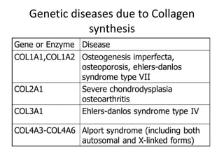Genetic diseases due to Collagen
synthesis
 