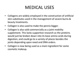 MEDICAL USES
• Collagens are widely employed in the construction of artificial
skin substitutes used in the management of severe burns &
beauty treatments.
• Collagen is also used to make the pennis bigger.
• Collagen is also sold commercially as a joint mobility
supplement. This lacks supportive research as the proteins
would just be broken down into its base amino acids during
digestion, and could go to a variety of places besides the
joints depending upon need and DNA orders.
• Collagen is now being used as a main ingredient for some
cosmetic makeup.
 