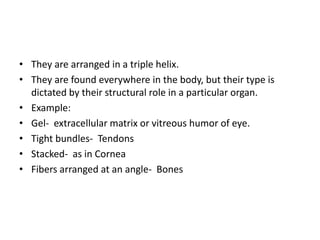 • They are arranged in a triple helix.
• They are found everywhere in the body, but their type is
dictated by their structural role in a particular organ.
• Example:
• Gel- extracellular matrix or vitreous humor of eye.
• Tight bundles- Tendons
• Stacked- as in Cornea
• Fibers arranged at an angle- Bones
 