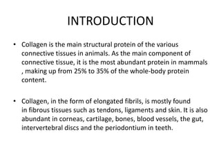 Collagen fibers