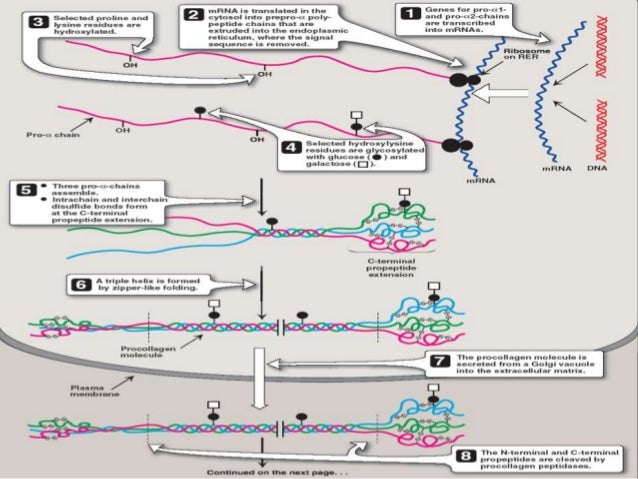 pnas copyright thesis pnas copyright thesis
