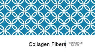 Collagen Fibers Fawad Mueen Arbi
Roll # 159
 