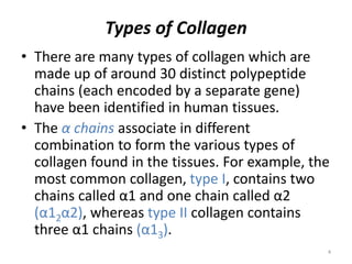 Collagen and its disorders | PPTX