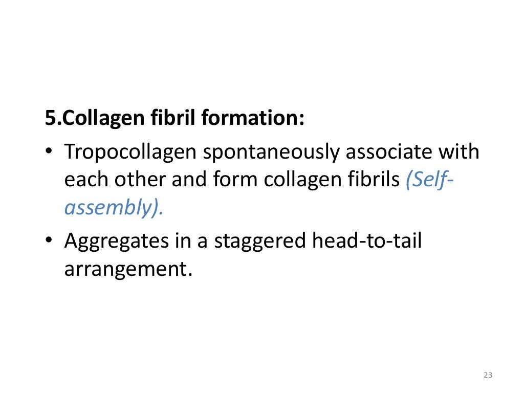 Collagen and its disorders