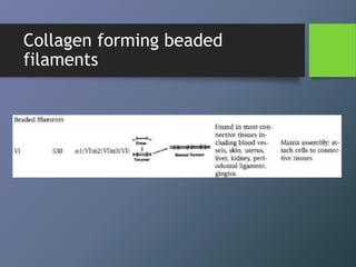 Collagen forming beaded
filaments
 