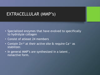 • Specialized enzymes that have evolved to specifically
to hydrolyze collagen
• Consist of atleast 24 members
• Contain Zn+2 at their active site & require Ca++ as
stabilizer.
• In general MMP’s are synthesized in a latent ,
nonactive form.
EXTRACELLULAR (MMP’s)
 