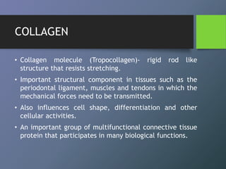 Collagen | PPTX