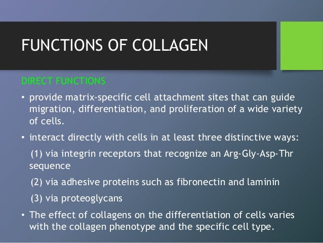 Collagen
