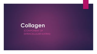 Collagen ppt.pdf