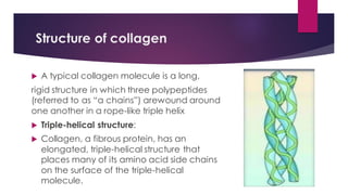 Collagen ppt.pdf