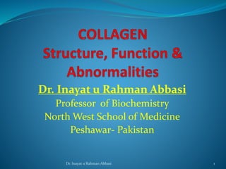 Dr. Inayat u Rahman Abbasi
Professor of Biochemistry
North West School of Medicine
Peshawar- Pakistan
Dr. Inayat u Rahman Abbasi 1
 