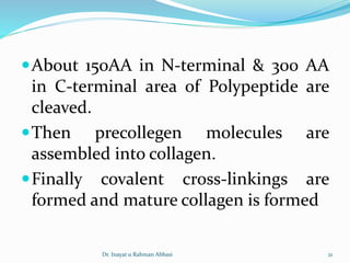 About 150AA in N-terminal & 300 AA
in C-terminal area of Polypeptide are
cleaved.
Then precollegen molecules are
assembled into collagen.
Finally covalent cross-linkings are
formed and mature collagen is formed
Dr. Inayat u Rahman Abbasi 21
 
